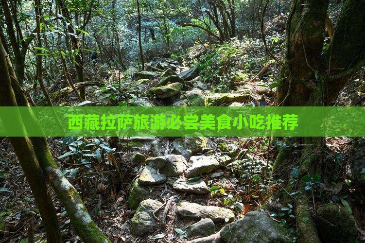 襄阳去西藏拉萨旅游小吃