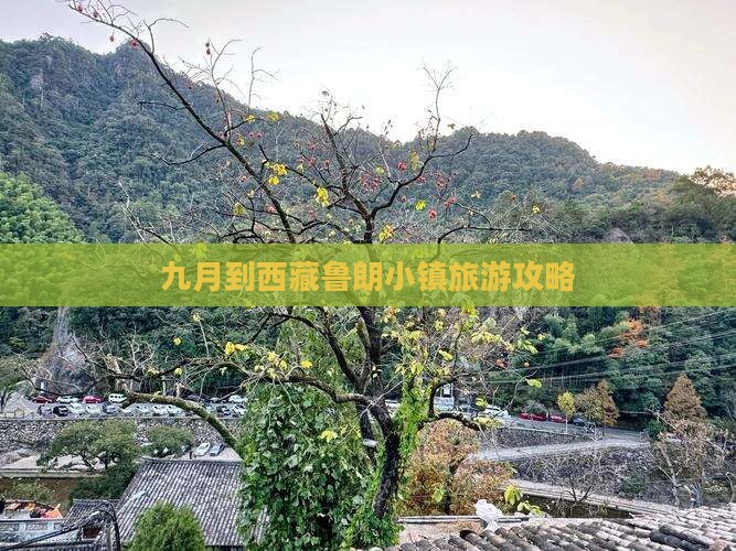 九月到西藏鲁朗小镇二日游