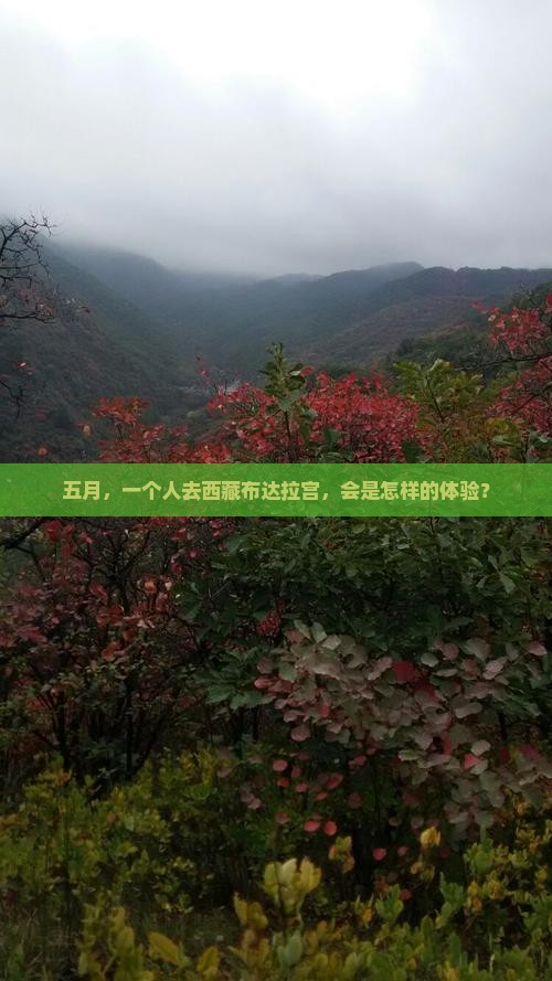 五月到西藏布达拉宫个人游