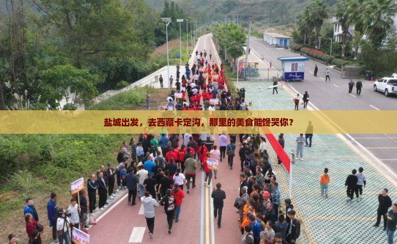 盐城去西藏卡定沟旅游小吃