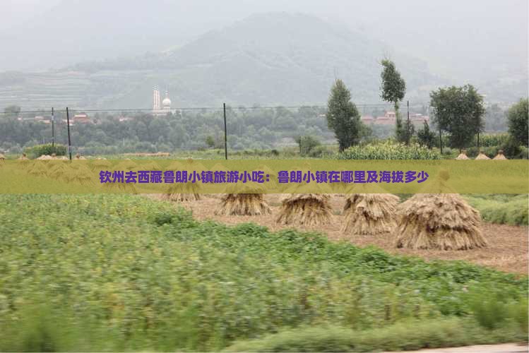 钦州去西藏鲁朗小镇旅游小吃