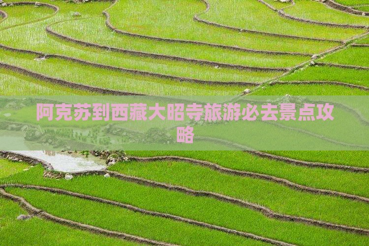阿克苏到西藏大昭寺必去地