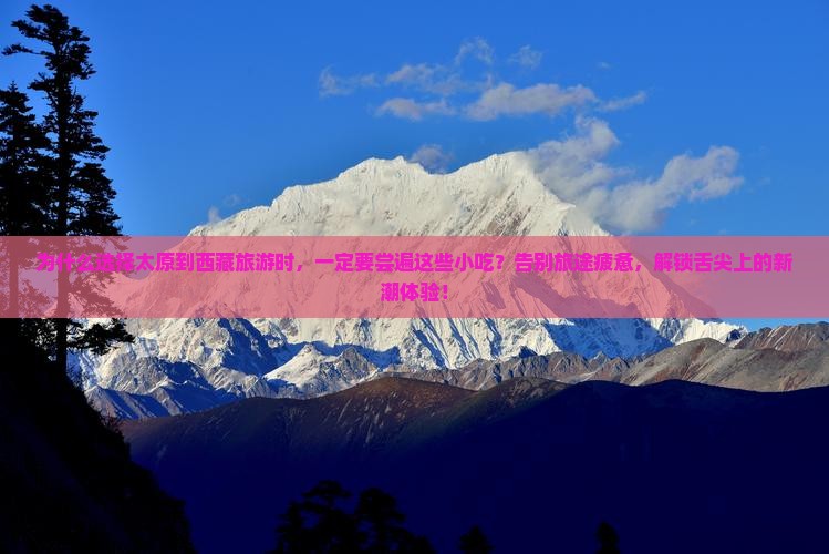 太原到西藏旅游小吃