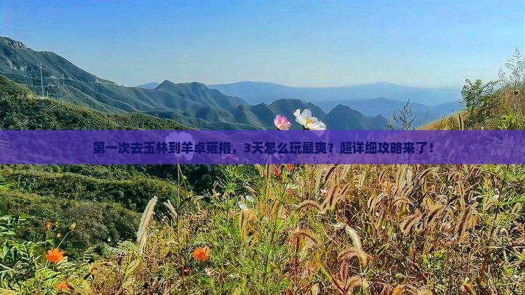 玉林到西藏羊卓雍措攻略