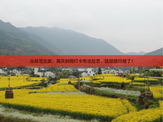 林芝去西藏布达拉宫二日游