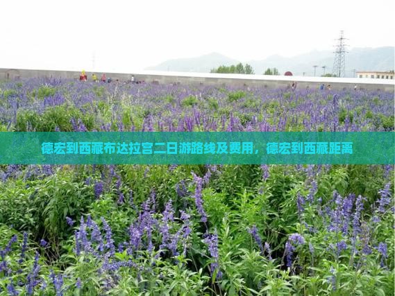德宏到西藏布达拉宫二日游