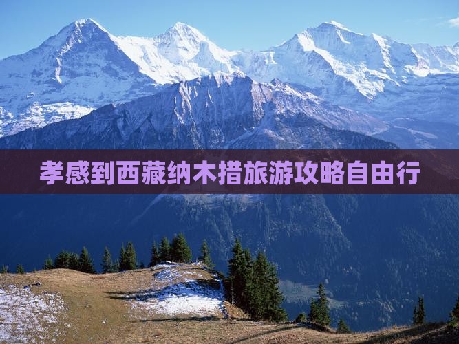孝感去西藏纳木措自由团