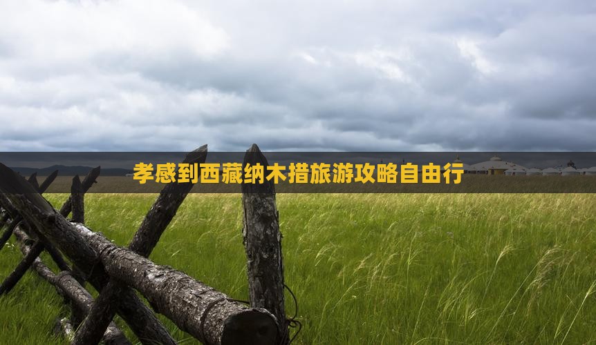 孝感去西藏纳木措自由团