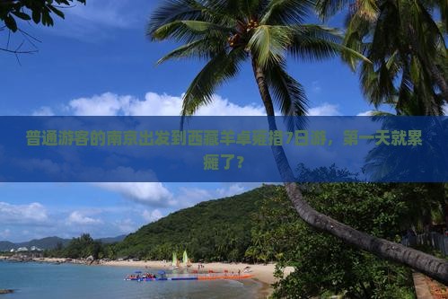 南京去西藏羊卓雍措七日游
