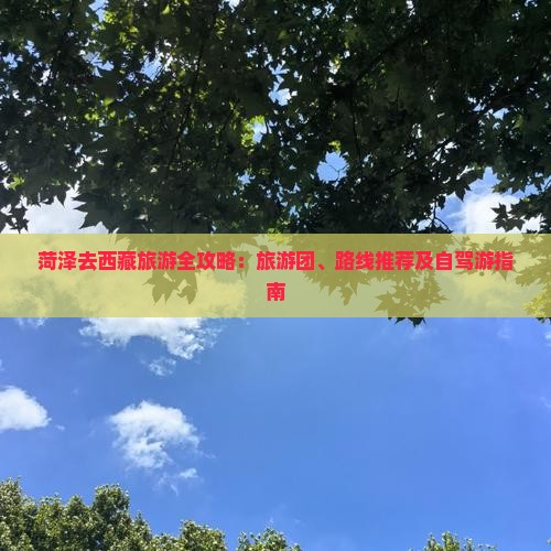 菏泽去西藏旅游