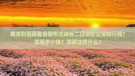 商洛去西藏雅鲁藏布大峡谷二日游