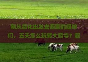 绥化去西藏大昭寺五日游