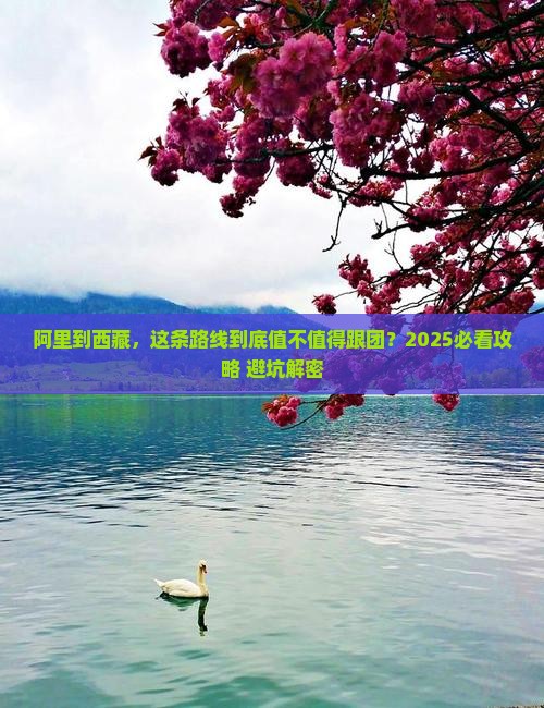 阿里到西藏大型旅游团