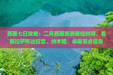 二月去西藏羊卓雍措七日游