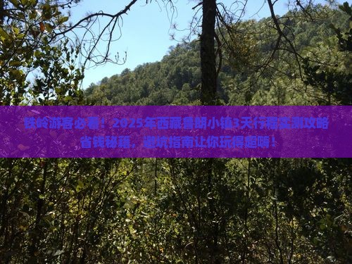 铁岭去西藏鲁朗小镇旅游