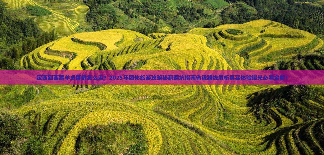 定西到西藏羊卓雍措团体旅游