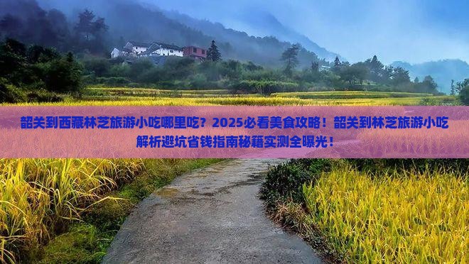 韶关到西藏林芝旅游小吃