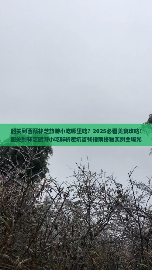 韶关到西藏林芝旅游小吃
