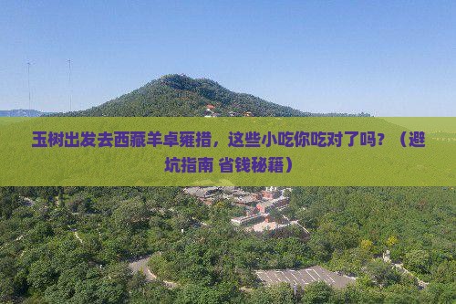 玉树去西藏羊卓雍措旅游小吃