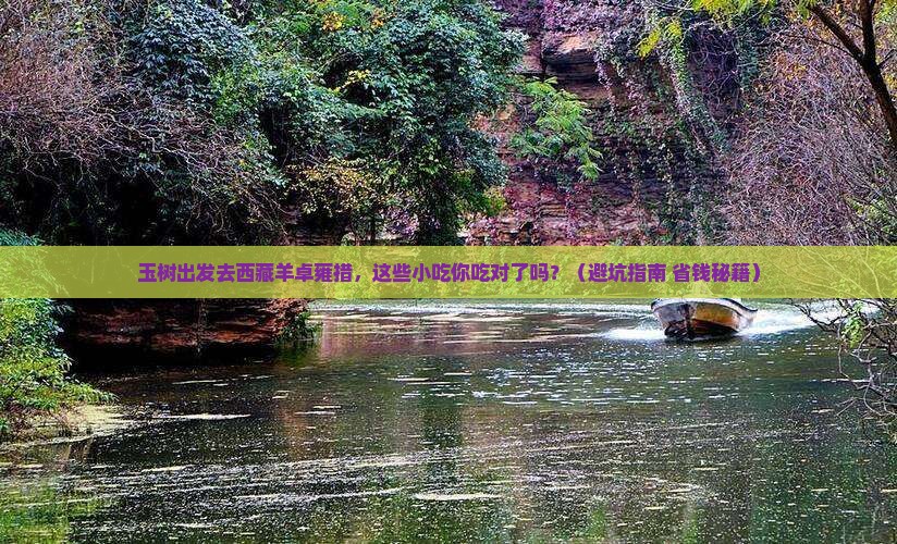 玉树去西藏羊卓雍措旅游小吃