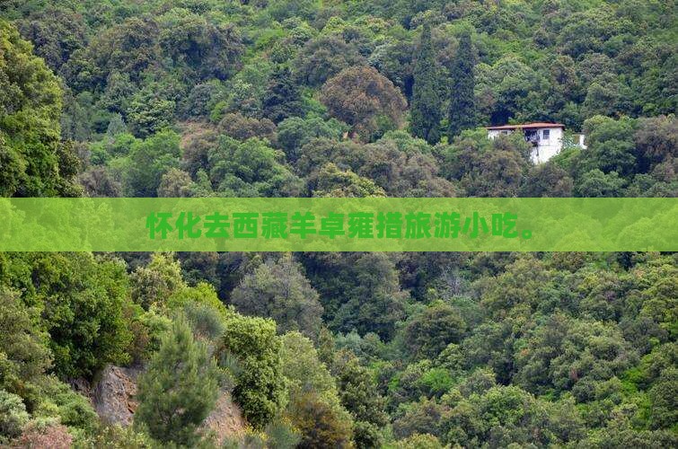 怀化去西藏羊卓雍措旅游小吃