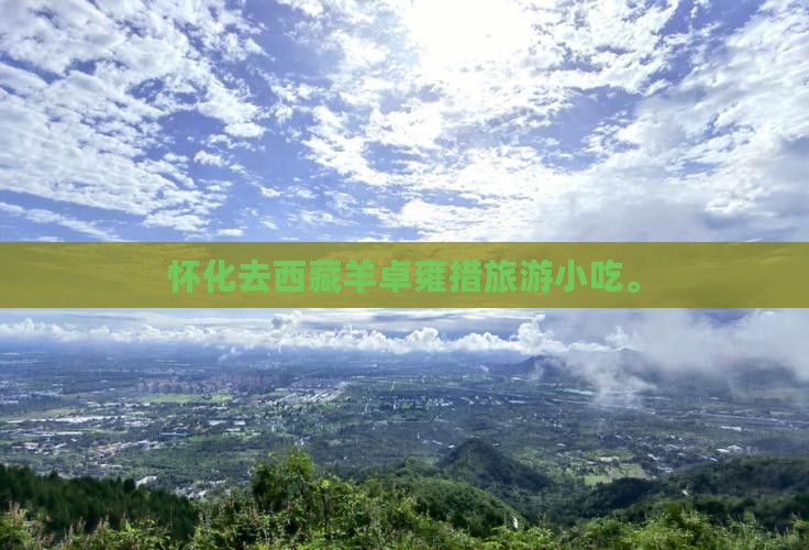 怀化去西藏羊卓雍措旅游小吃