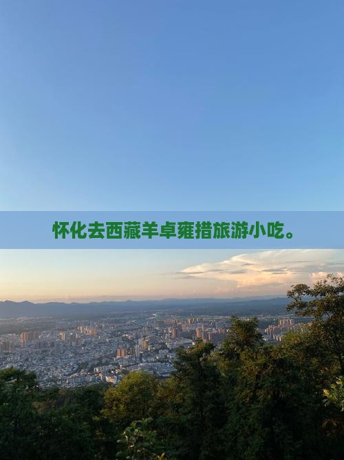 怀化去西藏羊卓雍措旅游小吃