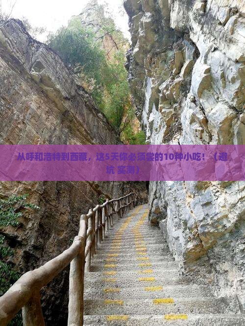 呼和浩特到西藏旅游小吃
