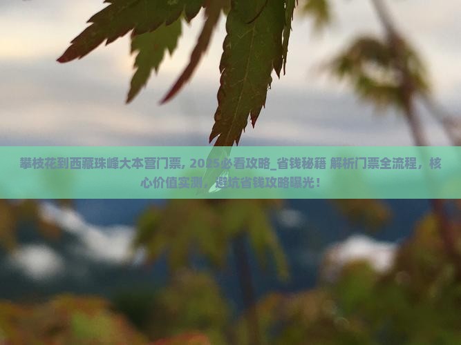 攀枝花到西藏珠峰大本营门票