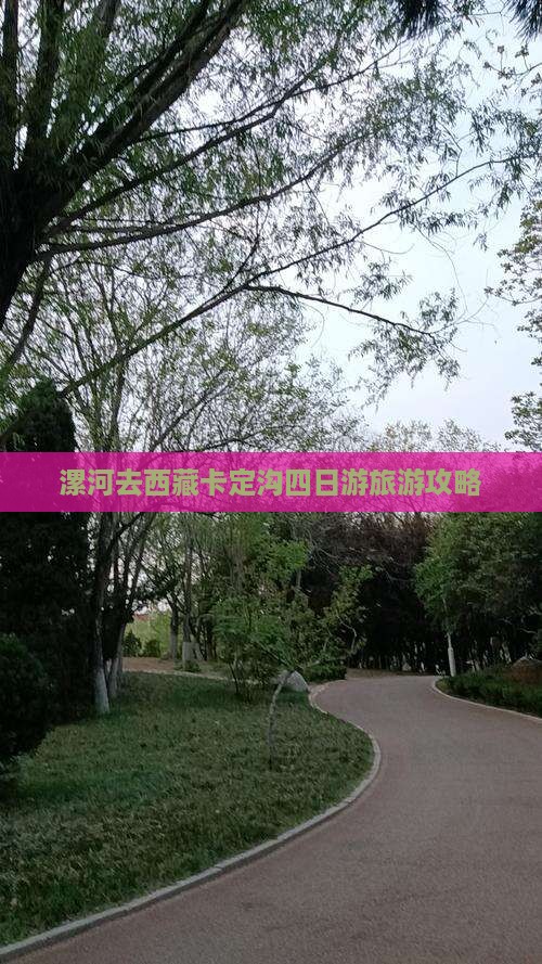 漯河去西藏卡定沟四日游