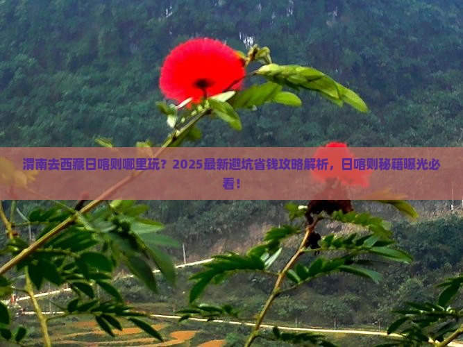 渭南去西藏日喀则哪里玩