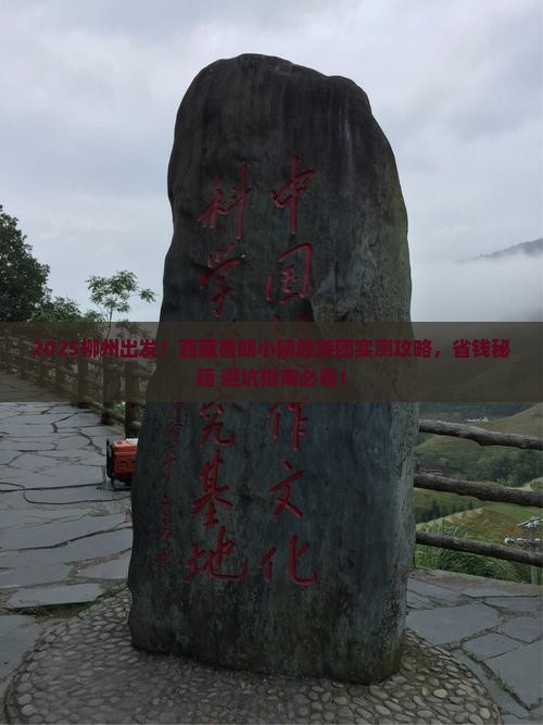 柳州去西藏鲁朗小镇大型旅游团