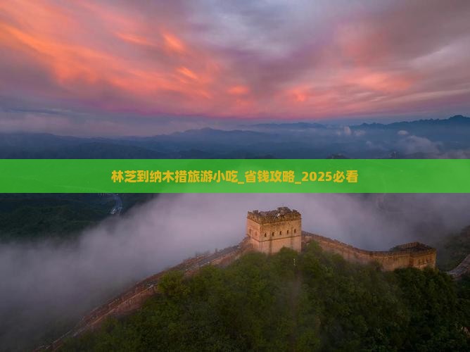 林芝到西藏纳木措旅游小吃