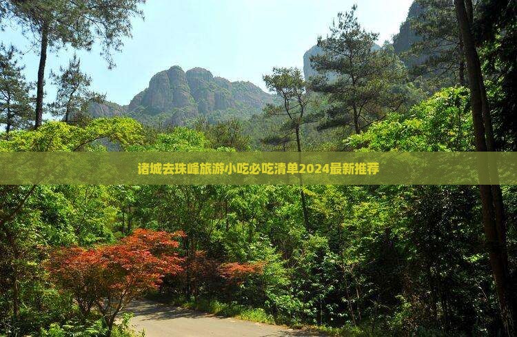 诸城去西藏珠峰大本营旅游小吃