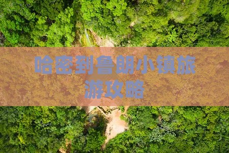 哈密到西藏鲁朗小镇一日