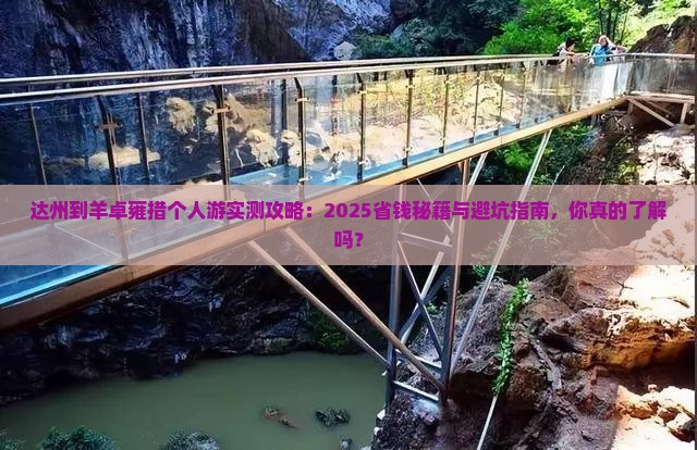 达州到西藏羊卓雍措个人游
