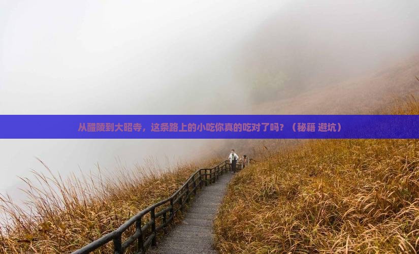 醴陵到西藏大昭寺旅游小吃