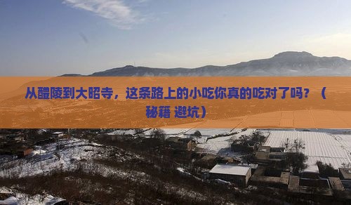 醴陵到西藏大昭寺旅游小吃
