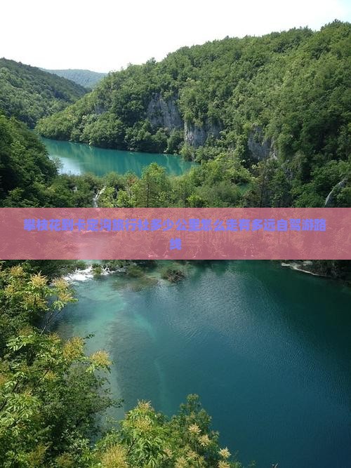 攀枝花到西藏卡定沟旅行社