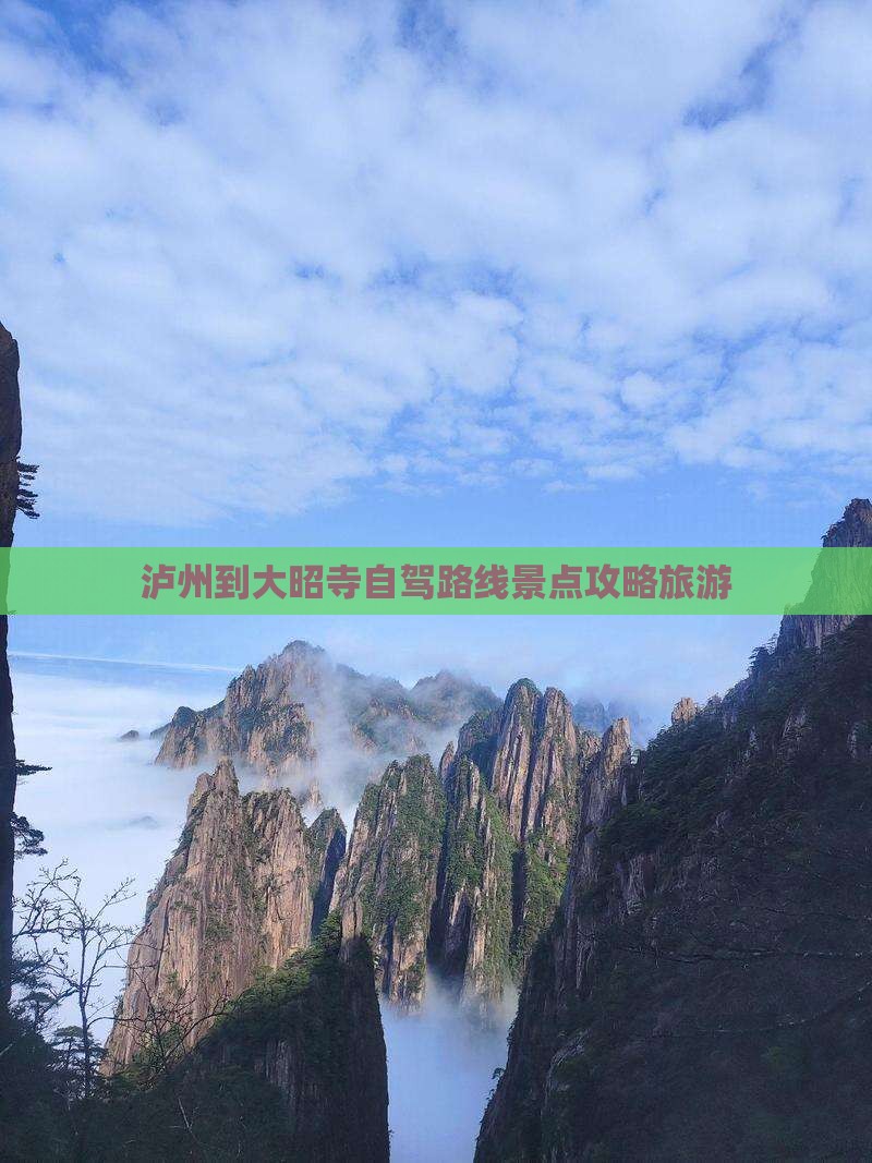 泸州到西藏大昭寺旅游