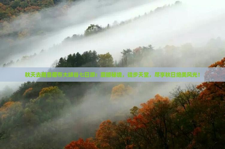 秋天去西藏雅鲁藏布大峡谷七日游