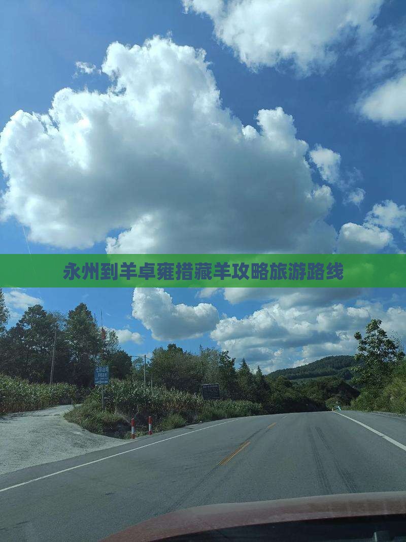 永州到西藏羊卓雍措自由团