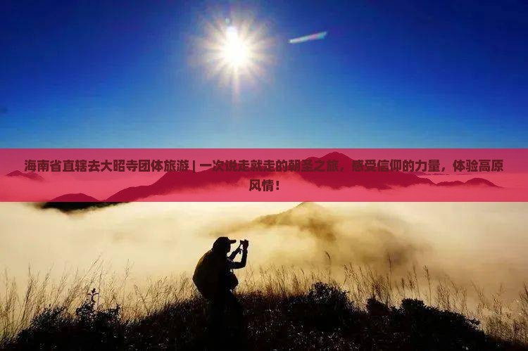 海南省直辖去西藏大昭寺团体旅游