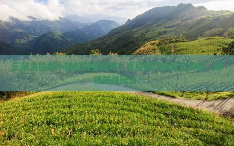 三明去西藏鲁朗小镇旅游