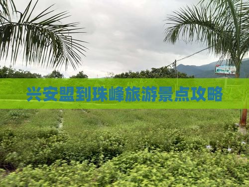 兴安盟去西藏珠峰大本营旅游