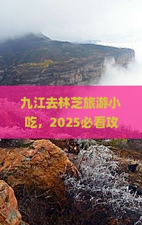 九江去西藏林芝旅游小吃