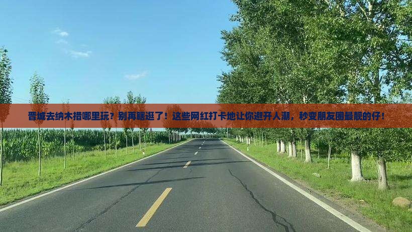 晋城去西藏纳木措哪里玩