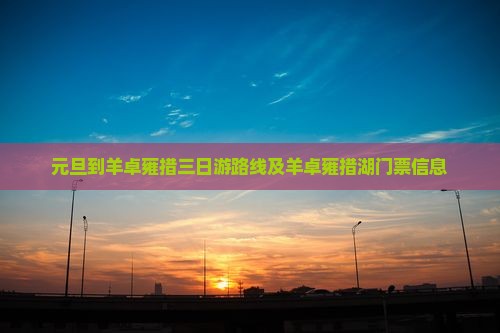 元旦到西藏羊卓雍措三日游