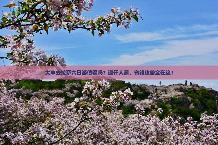大丰去西藏拉萨六日游