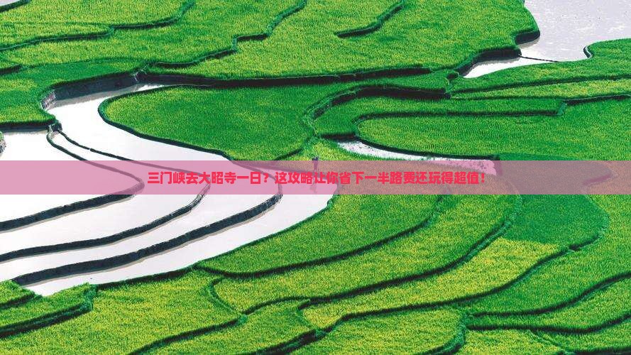 三门峡去西藏大昭寺一日